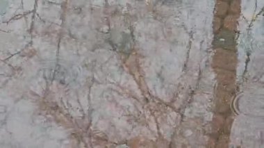 Şehirde yağmur yağıyor. Sonbahar. Kaldırıma yağmur damlaları düşüyor. Yağmur damlalarından sudaki daireler.