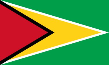 Guyana Kooperatif Cumhuriyeti resmi bayrağı. Guyana bayrağı. Görüntü.