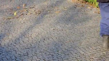 Bir işçi parktaki sonbahar yapraklarını çıkarır. Yakın plan. Şehri kışa hazırlıyorum..