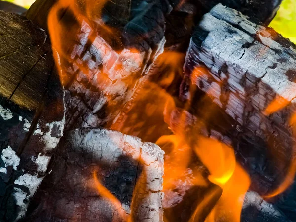 Close-up of a fire with firewood, coals and ashes.