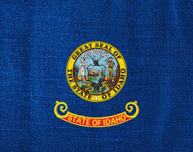 Flag of Idaho US state on a textured background. Concept collage.