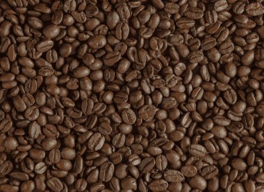 Kahve çekirdeklerinin gerçekçi çizimi. Kavrulmuş Arabika ve Robusta kahve çekirdekleri karışımı..