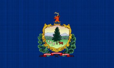 ABD bayraklı Vermont bayrağı. Kavram kolajı.