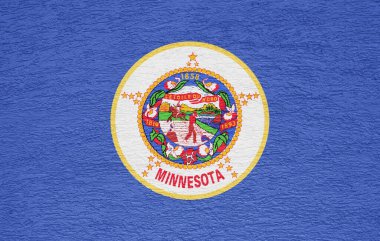 ABD 'nin Minnesota eyaletinde dokulu bir geçmişi var. Kavram kolajı.