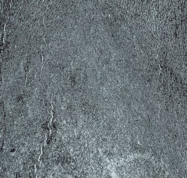 Güneşli havada Cladrastis kentukea ağaç kabuğunun vektör çizimi. Doğanın doğal derisi..