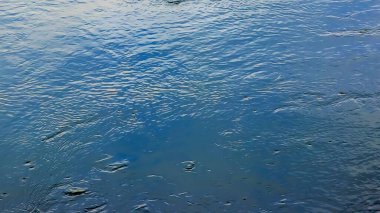 Salzach nehrinin su yüzeyinin arka planı. Bir dağ nehrinin su dokusu.