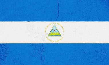 Özgeçmişinde Nikaragua Cumhuriyeti bayrağı var. Kavram kolajı.