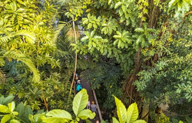 WASHINGTON, DC, ABD - 12.16.2023: Botanik bahçesinde bitki sergisi
