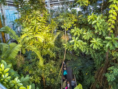 WASHINGTON, DC, ABD - 12.16.2023: Botanik bahçesinde bitki sergisi