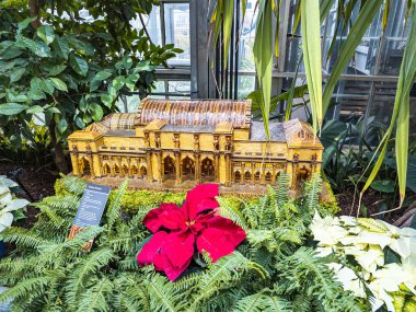 WASHINGTON, DC, ABD - 12.16.2023: Botanik bahçesinde bitki sergisi