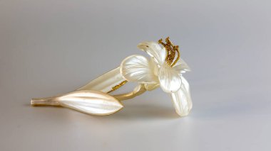 Beyaz arka planda altın erkekli yapay beyaz çiçek..