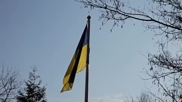 Een Schaduwrijke Oekraïense Vlag Wappert Wind Tegen Een Blauwe Lucht — Stockvideo