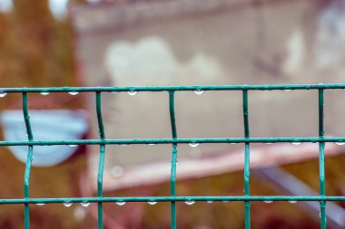 Yeşil doğanın arka planına karşı ıslak yeşil çit. Damlalar. Demir ağ çiti, yakın plan..