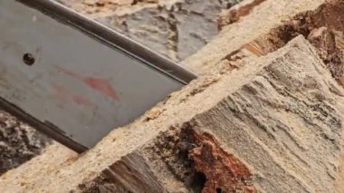 Elektrikli testere operasyonu. Kış için odun hazırlıyorum. Bir testere ağacı keser..