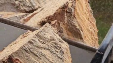 Elektrikli testere operasyonu. Kış için odun hazırlıyorum. Bir testere ağacı keser..