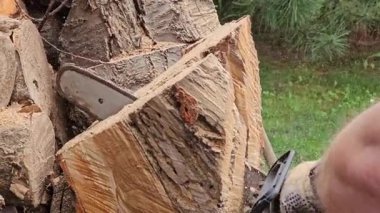 Elektrikli testere operasyonu. Kış için odun hazırlıyorum. Bir testere ağacı keser..