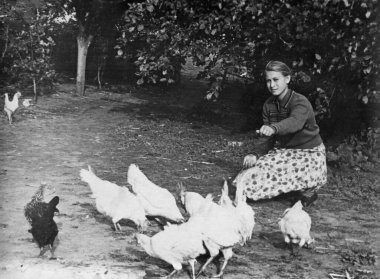 Tavukları ve horozları besleyen genç bir kızın klasik fotoğrafı. SSCB, 1961.