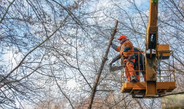 Dnepr, Ukrayna - 03.20.2024: Belediye çalışanları vinç sepetinde elektrikli testere ve tehlikeli ağaçları budamak için duruyorlar.
