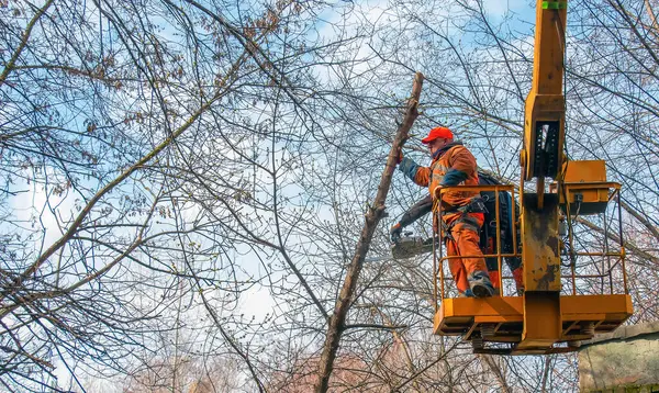 Dnepr, Ukrayna - 03.20.2024: Belediye çalışanları vinç sepetinde elektrikli testere ve tehlikeli ağaçları budamak için duruyorlar.