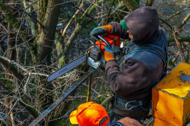 Dnepr, Ukrayna - 03.20.2024: Belediye çalışanları vinç sepetinde elektrikli testere ve tehlikeli ağaçları budamak için duruyorlar.