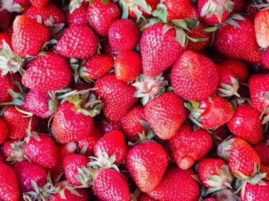 Çilekli. Taze organik böğürtlen Yakın plan. Meyve arkaplanı. Sağlıklı yeme kavramı.