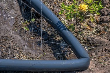 En basit sulama sistemi. Topraktaki delikli hortum su basıncının altında yatıyor..