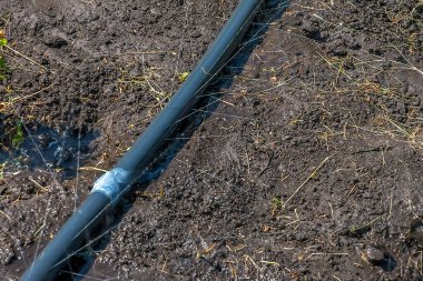 En basit sulama sistemi. Topraktaki delikli hortum su basıncının altında yatıyor..