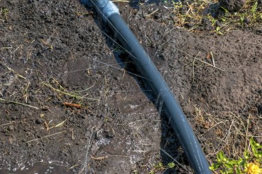 En basit sulama sistemi. Topraktaki delikli hortum su basıncının altında yatıyor..