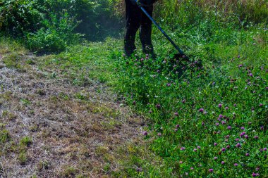 Bir adam çimleri keser ve biçer. Çim biçme işi. İşçi çimenleri çimlerle biçer.