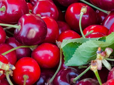 Arka plan olarak lezzetli olgun tatlı kiraz, üst görünümü.