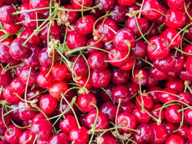 Arka plan olarak lezzetli olgun tatlı kiraz, üst görünümü.