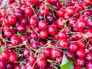 Arka plan olarak lezzetli olgun tatlı kiraz, üst görünümü.