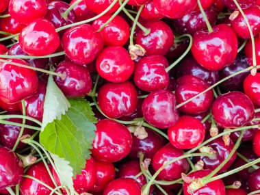 Arka plan olarak lezzetli olgun tatlı kiraz, üst görünümü.