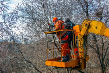 Dnepr, Ukrayna - 03.20.2024: Belediye çalışanları vinç sepetinde elektrikli testere ve tehlikeli ağaçları budamak için duruyorlar.