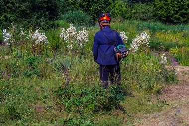 Bir adam çimleri keser ve biçer. Çim biçme işi. İşçi çimenleri çimlerle biçer.