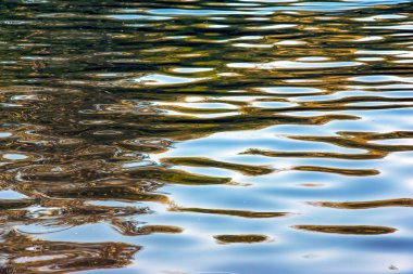 Water ripple texture background. Wavy water surface during sunset, golden light reflecting in the water.