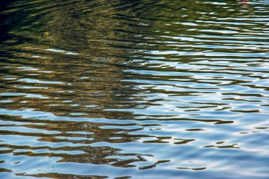 Water ripple texture background. Wavy water surface during sunset, golden light reflecting in the water.
