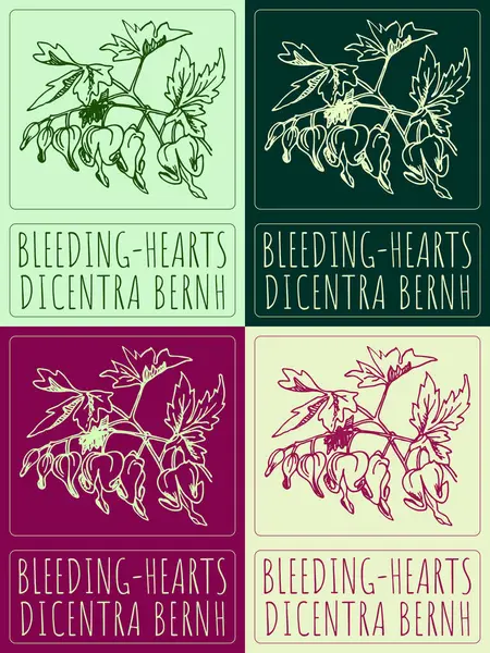 Stock image Set of drawing BLEEDING-HEARTS in various colors. Hand drawn illustration. The Latin name is DICENTRA BERNH.