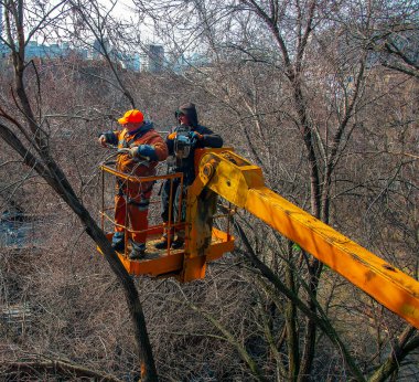 Dnepr, Ukrayna - 03.20.2024: Belediye çalışanları vinç sepetinde elektrikli testere ve tehlikeli ağaçları budamak için duruyorlar.