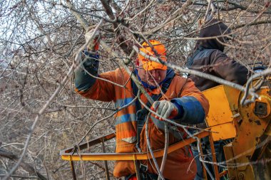 Dnepr, Ukrayna - 03.20.2024: Belediye çalışanları vinç sepetinde elektrikli testere ve tehlikeli ağaçları budamak için duruyorlar.