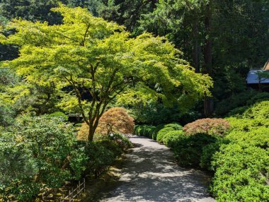 Portland Japon Bahçesi Portland, Oregon, ABD 'de geleneksel bir Japon bahçesidir..