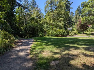 Washington Park in Oregon. Landscape of forest and vegetation in the park. clipart