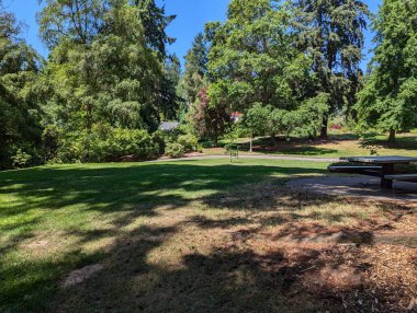 Oregon 'daki Washington Park. Parktaki orman ve bitki örtüsü manzarası.