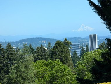 Portland, Oregon, ABD - 07.12.2024: Güzel Hood Dağı, Japon bahçesinden manzara.