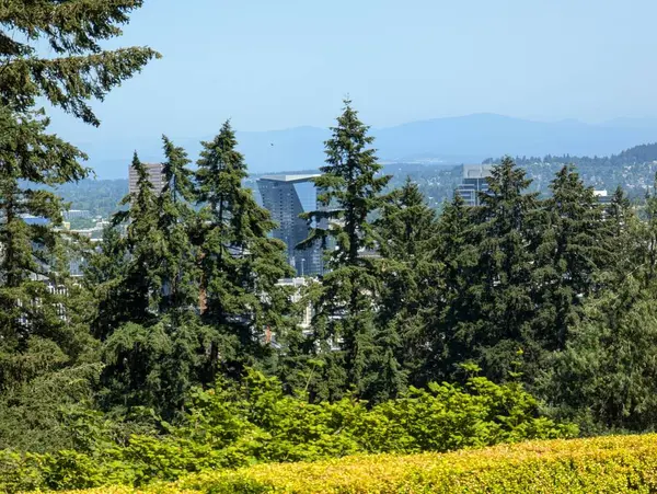 Portland, Oregon, ABD - 07.12.2024: Güzel Hood Dağı, Japon bahçesinden manzara.