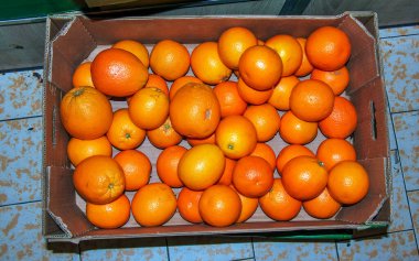 Arka plan olarak bir kutuda taze portakal meyveleri, üst görünüm.