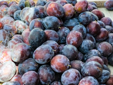 Arka plan olarak taze erikler. Çiftçi pazarında meyveler. Organik ürünler.