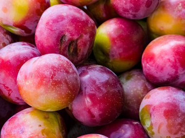 Arka plan olarak taze erikler. Çiftçi pazarında meyveler. Organik ürünler.