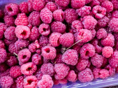 Arka plan olarak taze ahududu. Çiftçi pazarında organik ahududu..