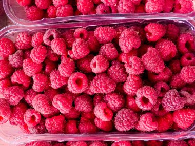 Arka plan olarak taze ahududu. Çiftçi pazarında organik ahududu..